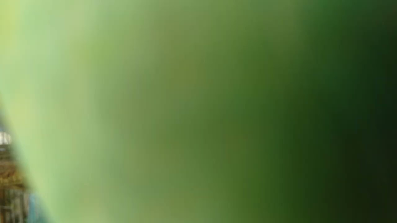 Pastellfarger fra nordens fugler 