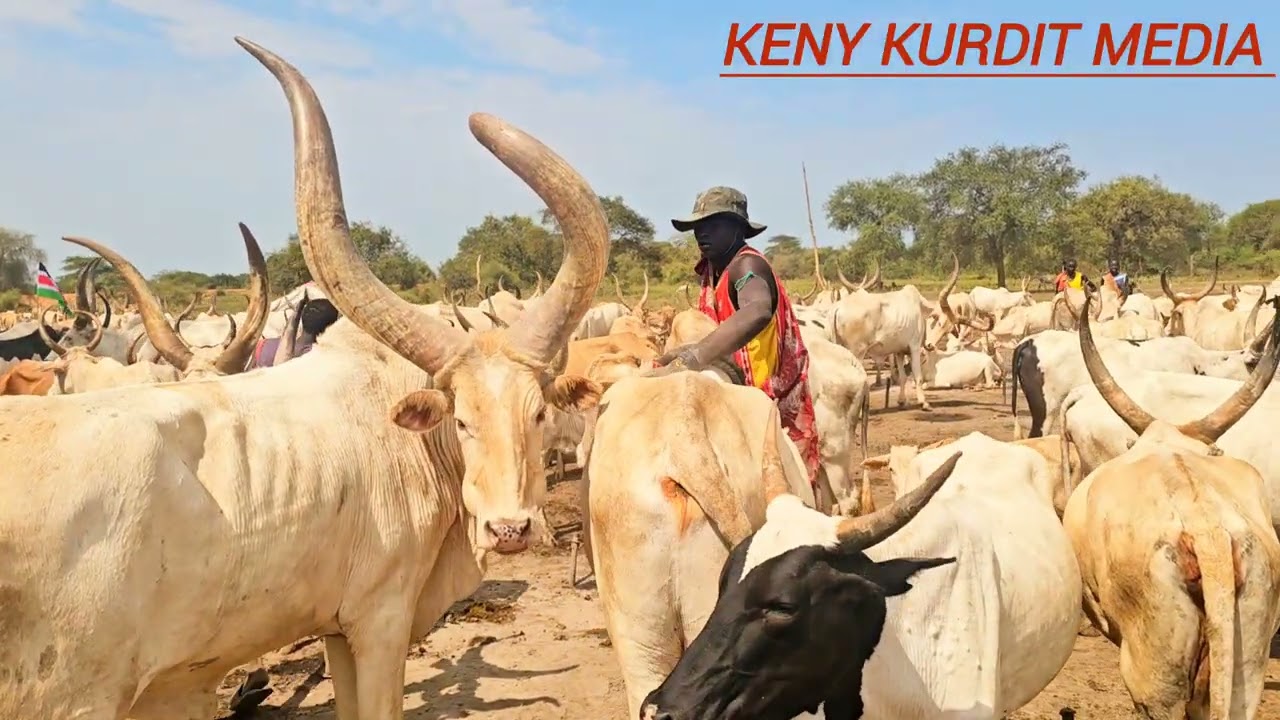 Machar Matiit Achuoth aka Ajong Nyang at Jingarok Cattle Camp 