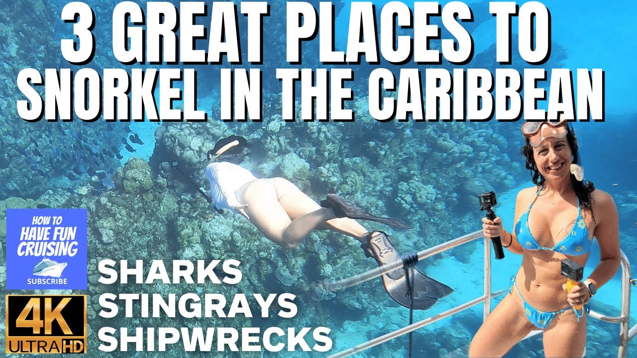 3 Great Islands to Snorkel in the Caribbean!