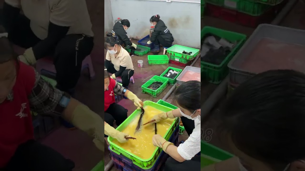 Processing At Factory | Bibo Hair Vietnam +84828210888 