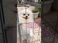 これ以上は出ないシステム②