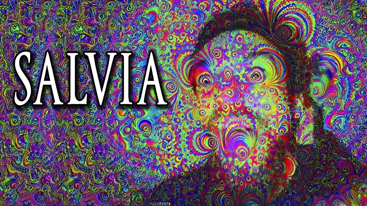 The High Strangeness of Salvia