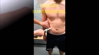 Tutorial del estudio antropométrico.