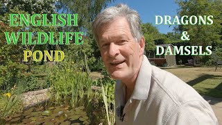Dragonflies & Damselflies emerge from my English Wildlife Pond - June 2020