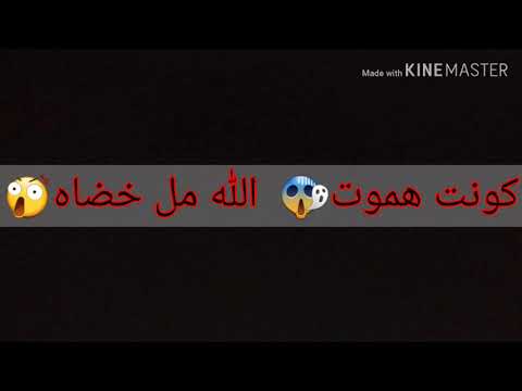 تيتو بندق 2020