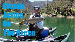 Pontoon boat fly fishing on the Green river.