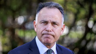 Liberal Party members seek court challenge against Pesutto’s bailout