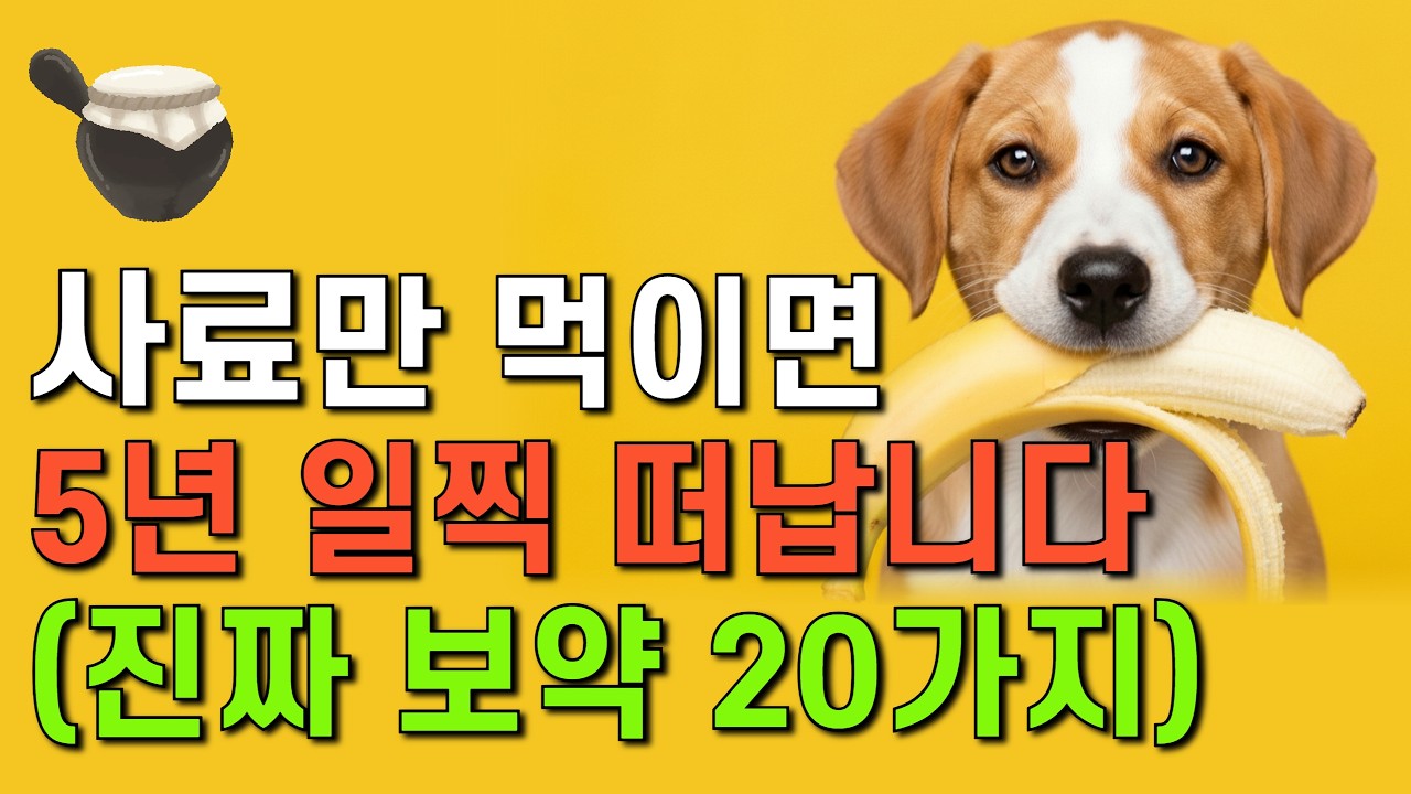 수의사가 절대 안 가르쳐주는, 강아지 수명 5년 늘리는 20가지 음식!
