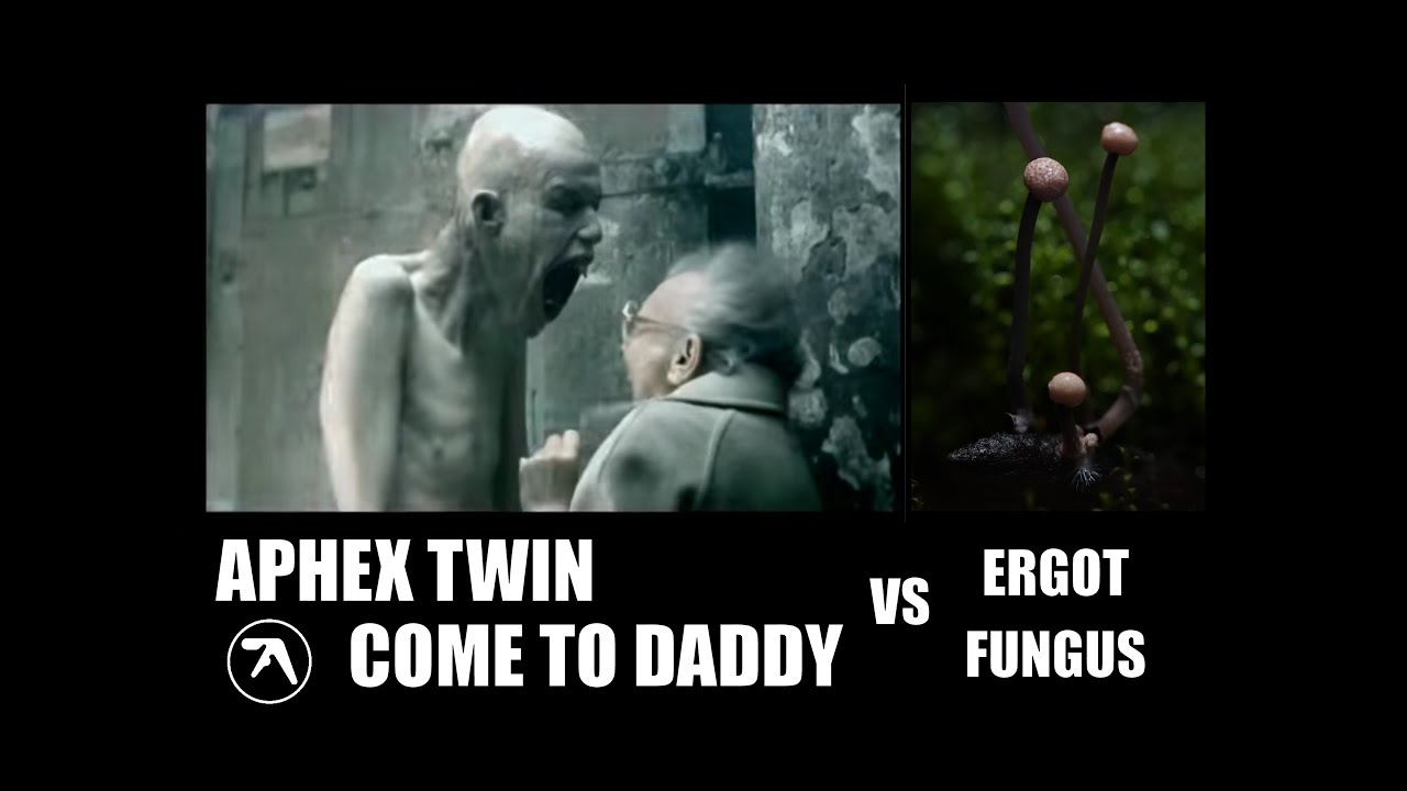 APHEX TWIN vs The Ergot Fungus - real time spore release. Dancing fungi.