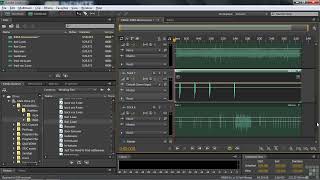 15 Using The Media Browser | LEARNING ADOBE AUDITION CS6 TRAINING VIDEO