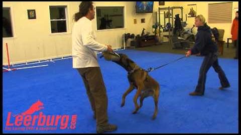 Michael Ellis Plays Tug