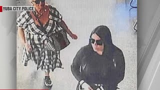 Police warn of debit card scam involving 'dropped $20 bill'