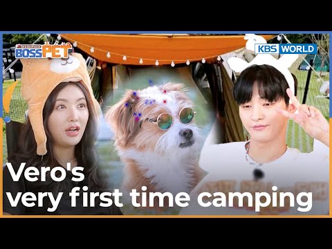 Vero&amp;#39;s very first <strong>time</strong> camping 🏕️ [Boss <strong>Pet</strong> : EP.15-2] | KBS WORLD TV 221022