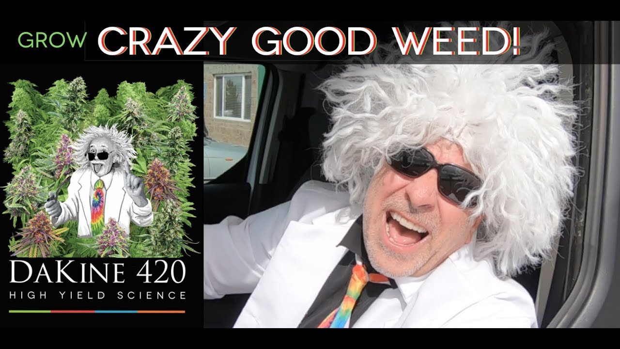 Hilarious! Join the Mad Scientist for Crazy Cannabis tips!