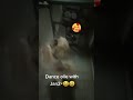 Ang cute na Olie dogie Dancing with my friend John 🤣🤣#asmr #highlights