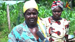 Baba afariki kwa kunywa dawa ya miti shamba Baba afariki kwa kunywa dawa ya miti shamba