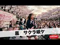嵐 サクラ咲ケ|Japanese Girls AI Rock Band|邦楽カバー
