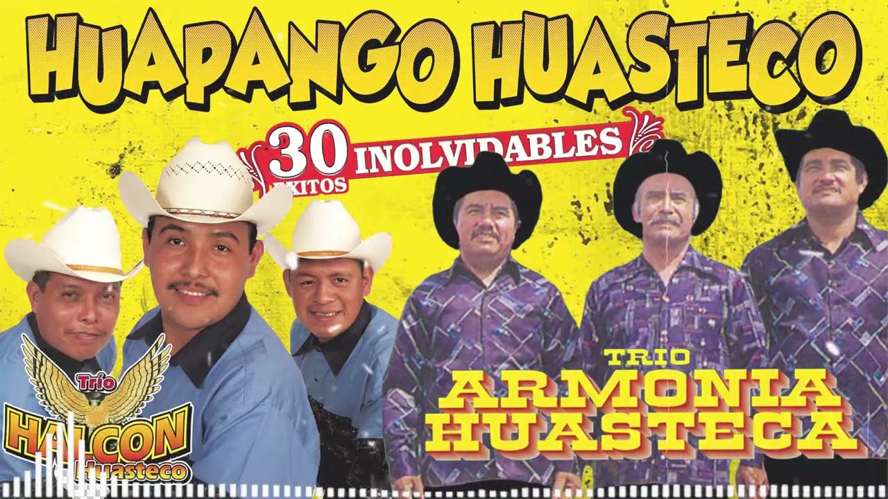 Trío Halcón Huasteco y Trío Armonía Huasteca | Huapango Huasteco Mix 2026 | Son Huasteco Puro