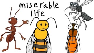 Why It S To Be Born As An Insect