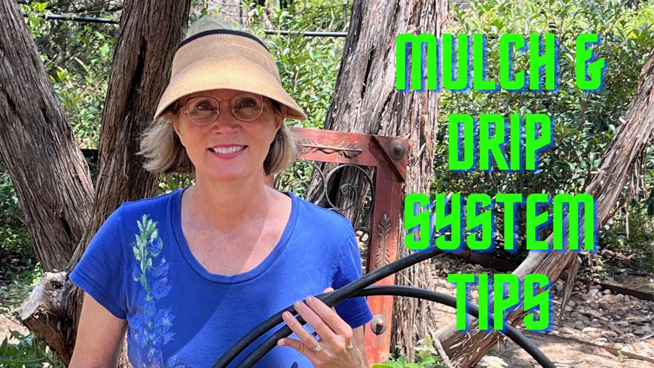 Mulch and Drip irrigation Tips