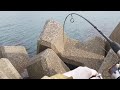投げ釣りの合間に穴釣りをしてみた