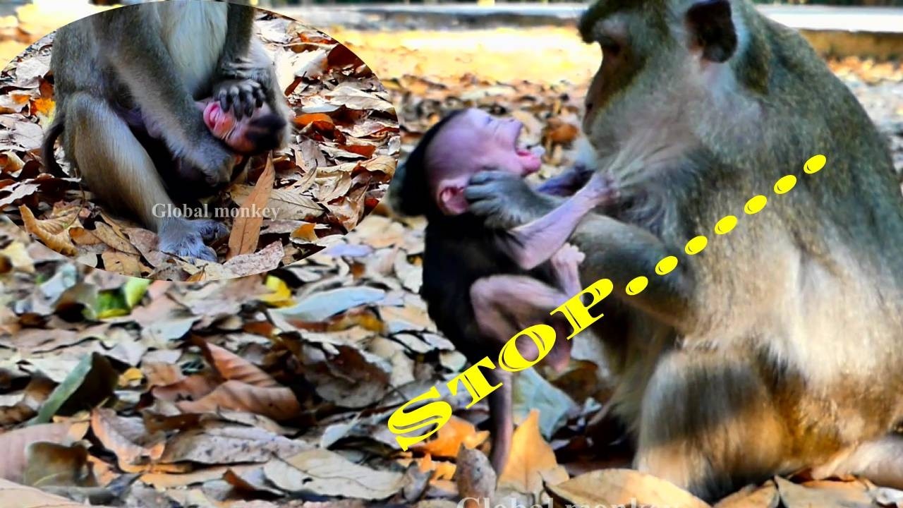 Anna's heart was warm. She taught her children with the utmost warmth.