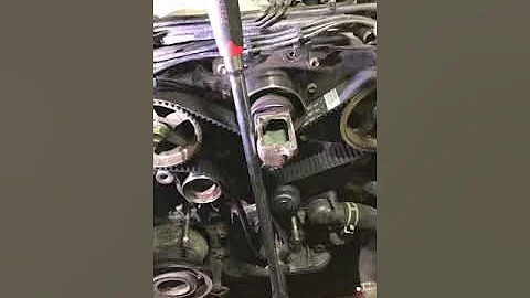 Toyota 3.0 3vze timing belt install tip 4Runner T100