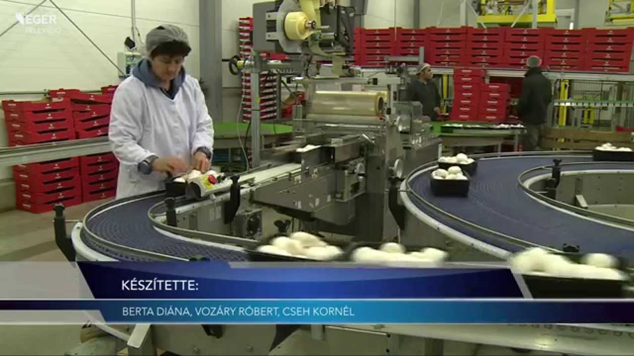 Fellélegezhetnek a kerecsendiek - 2015.09.25.