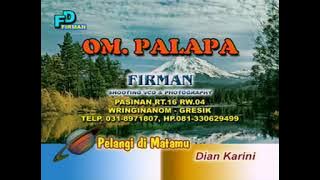 Om palapa Pelangi Di Matamu live Ngoro Mojokerto