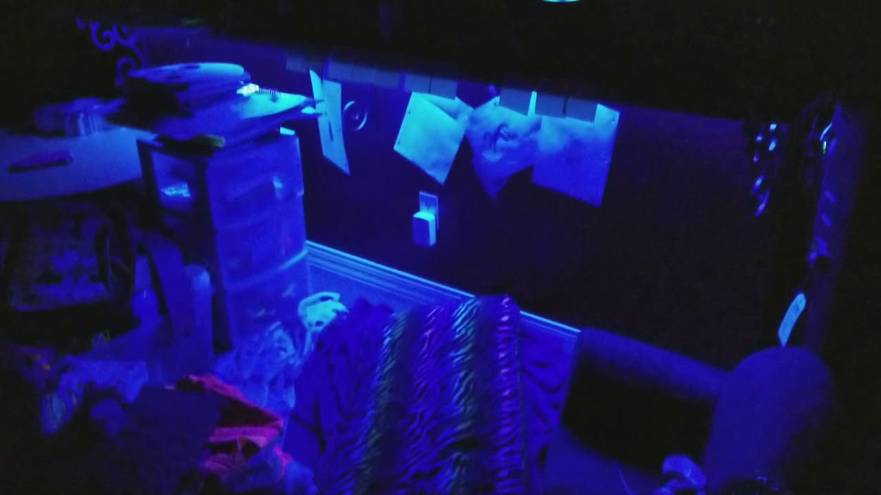 Nexlux wireless LED lightstrip working with Echo