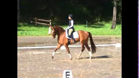 4/19/14 Suzanne Garofalo PRE Dressage