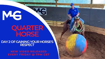 Day 2 of Gaining Your Horse