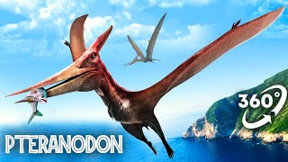 Vr Jurassic Encyclopedia - Pteranodon Dinosaur Facts 360 Education