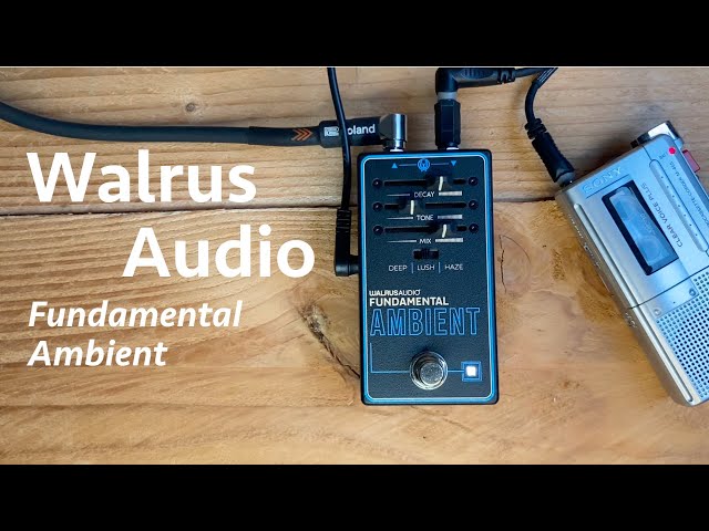 Walrus Audio Fundamental Ambient - YouTube