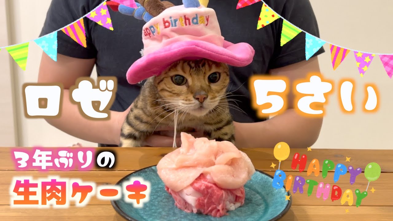 ロゼの５歳の誕生日に生肉ケーキ用意したらフガフガ言ってた
