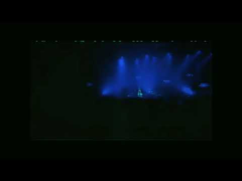 轮回吴遥·吴铁花《你的一生我只借一晚》