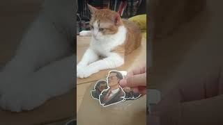 My sticker order from linktr.ee/umulata just came in! #interviewwiththevampire #sticker