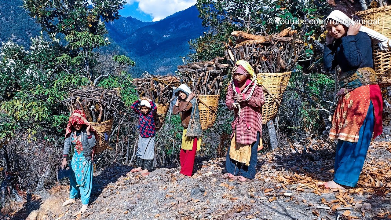  Nepali Village Children Life 