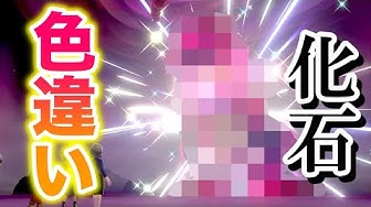 イベントレイド Youtube