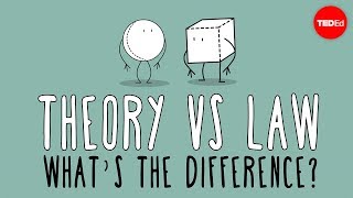 What's The Difference Between A Scientific Law And Theory - Matt Anticole