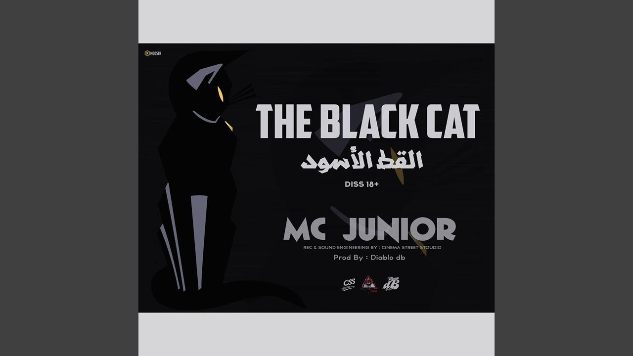 Mira The Black Cat en YouTube Mira The Black Cat en YouTube