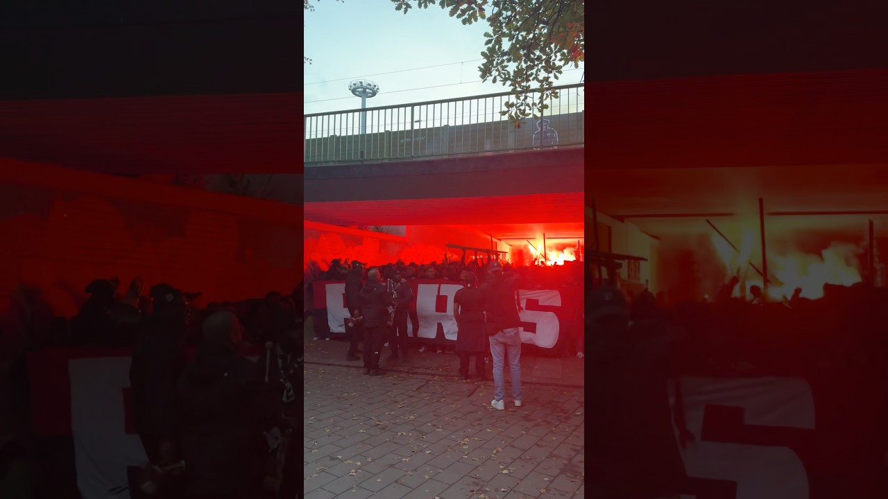 PASSION. ❤️‍🔥