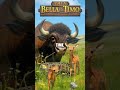 The Remarkable Rescue of Bella the Brave Bison