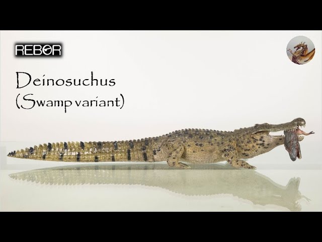 Deinosuchus comparison by Fadeno on DeviantArt