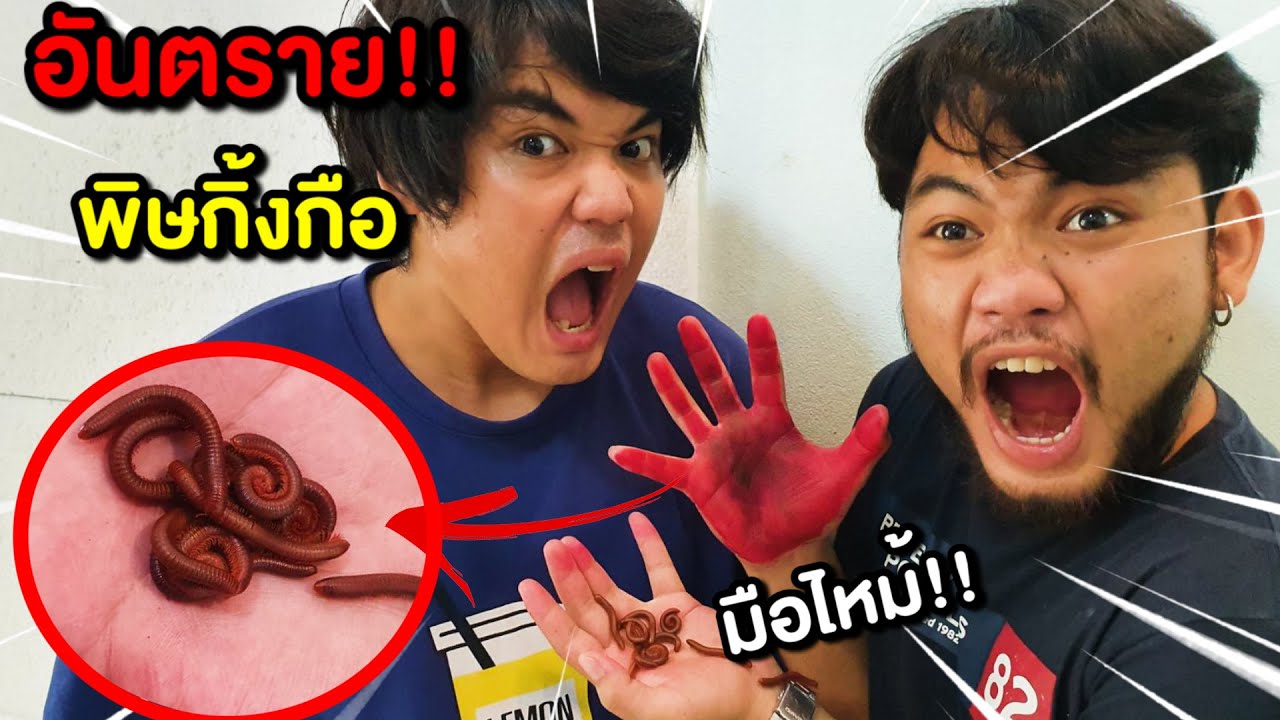 ระวังอันตราย หน้าฝน โดนพิษกิ้งกือ มือไหม้ ต้องตัดมือทิ้ง!!