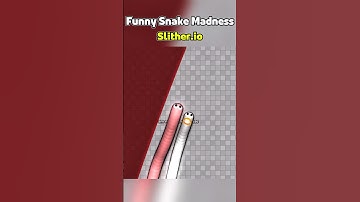 Snake Nose Crash! #slitherio