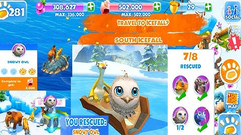 Ice Age Adventure (snowy owl rescued)