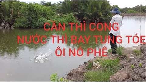 Câu lure cá chẽm ở xã Lý Nhơn, Cần giờ || Seabass Fishing In Can Gio District