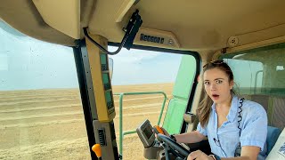 Montana Wheat Harvest!!! 2021
