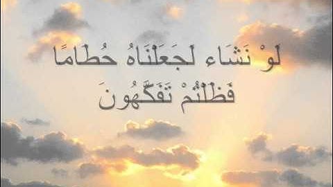 سورة الواقعة للقارئ الشيخ ادريس ابكر